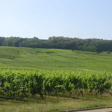 D'hotes Du Zellberg Nothalten