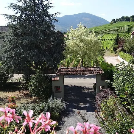 D'hotes Du Zellberg Bed & Breakfast Nothalten